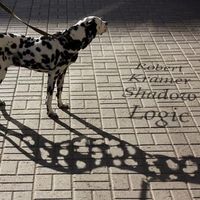 Shadow Logic by Robert Kramer