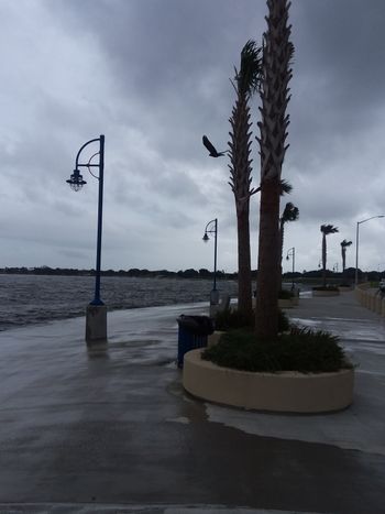 New Orleans, LA
