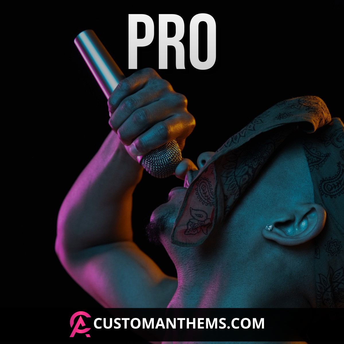 Pro Song Production - For Songwriters and Lyric Writers