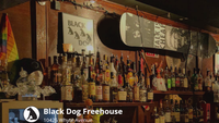 Shaguar Back at the Black Dog!