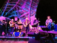 THE Wharf Rats, LIVE! w/ Mother Stump Band @ The Chyrsalis