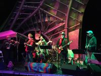 THE Wharf Rats, LIVE!
