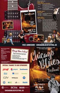 Chicago Blues Festival