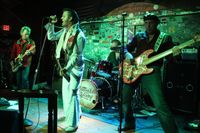 Elvis Rocks!  and Cottondale Swamp