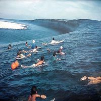 Third Summer of Love by Apollo Vermouth