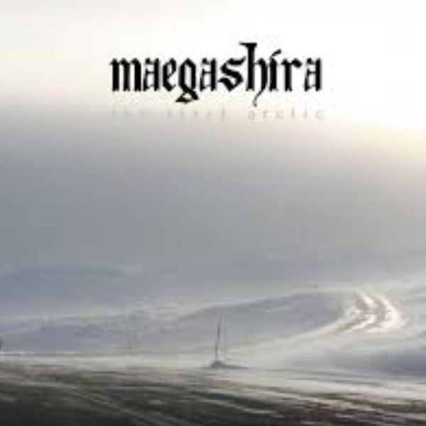 The Stark Arctic - CD