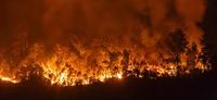 East Main x 12, A California Wildfire Benefit