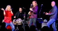 Madcat's CARMa Quartet