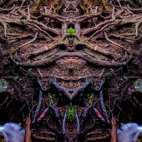 Native Alien by Chilldren of Indigo