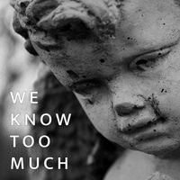 "We Know Too Much" Single by BILLY CROCKETT