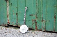 Big Swig Banjo Camp