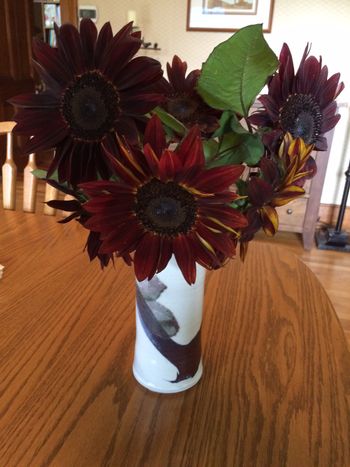 Sweet Land Farm photo 28