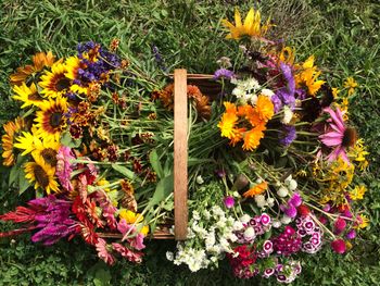 Sweet Land Farm photo 18