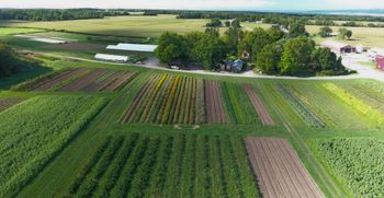 Sweet Land Farm photo 5