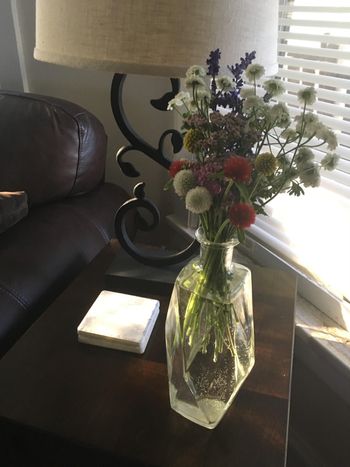 Sweet Land Farm photo 12