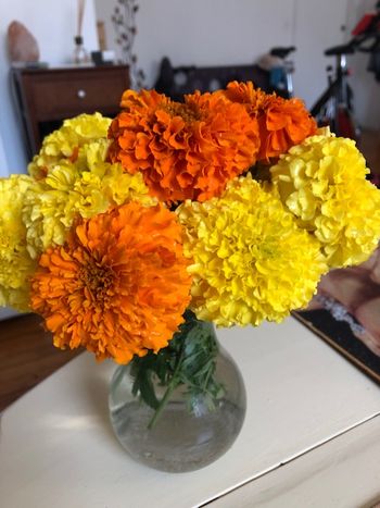 Sweet Land Farm photo 11