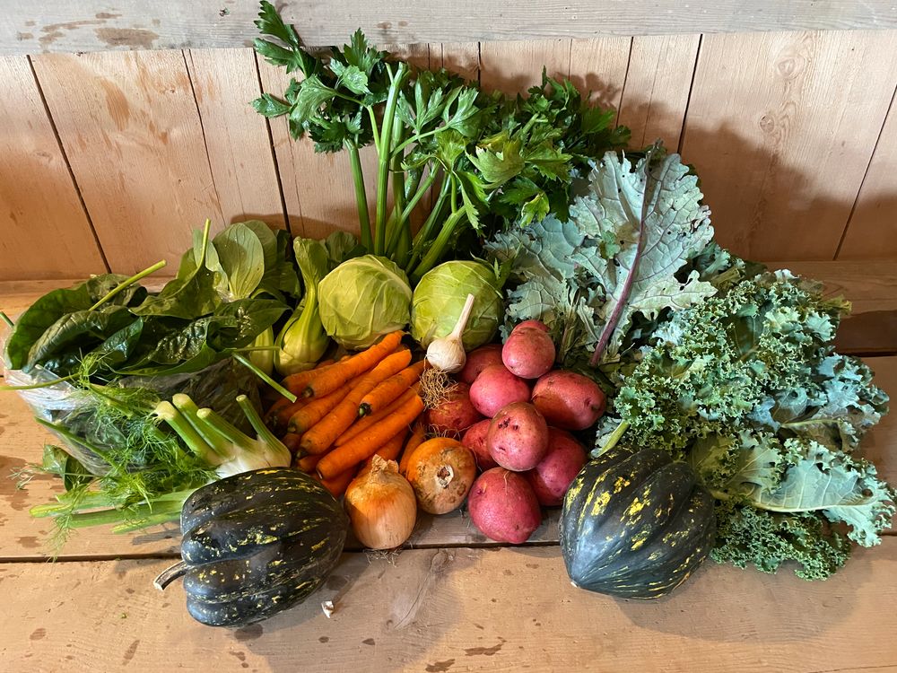 Sweet Land Farm photo 25