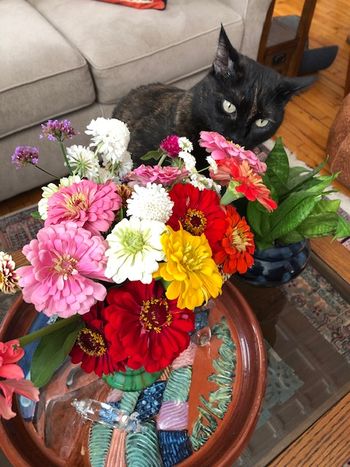 Sweet Land Farm photo 26