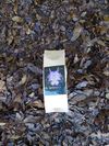 3-Bag bundle of Tea+digital download