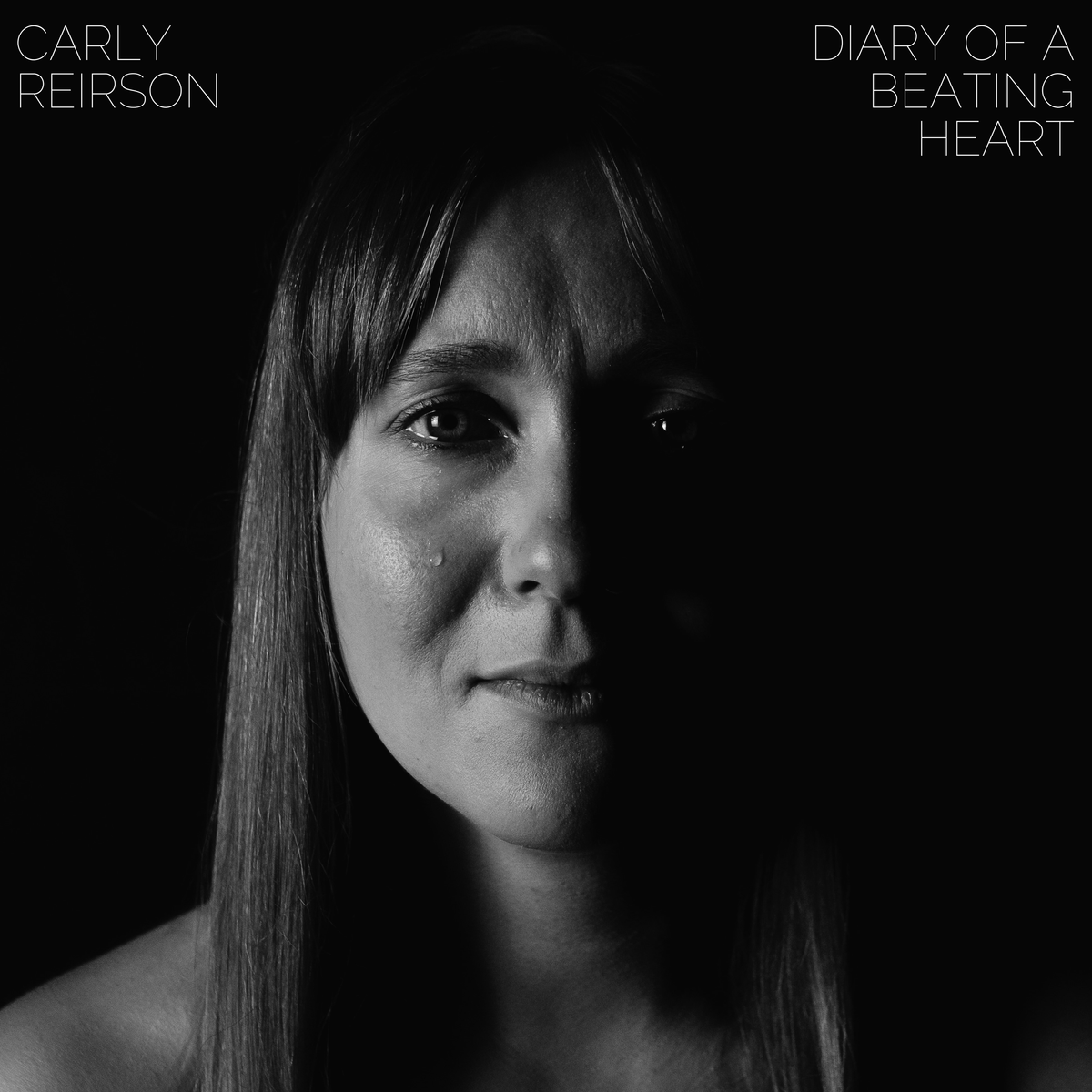 Diary Of A Beating Heart - CD