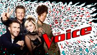 NBC's hit show The Voice uses some of Craig's music!