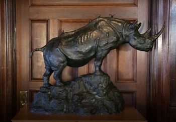James Clark - Rhinoceroses - 1912 Gift from TR's sister Corrine
