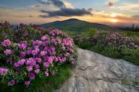 Roan Mountain State Park