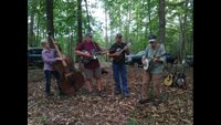 Fall-o-dendron Festival