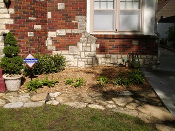 Cedar Mulch
