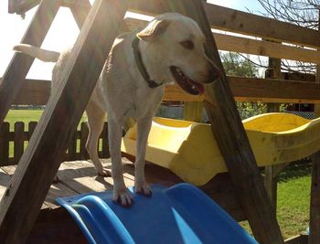 Halo getting ready to slide
