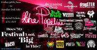 Does My Festival Look Big In This?