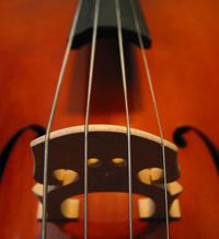 Sounds of Grace Music Series