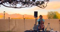 Alison Reynolds live!