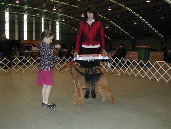 Showing an Airedale 2007

