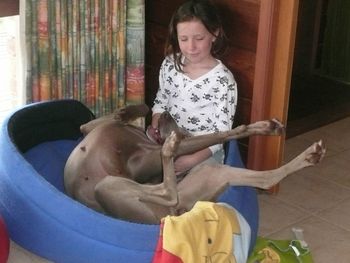 Emily & Cricket in a relaxed mode
