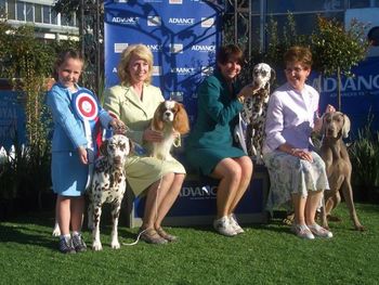 Emily & Lana, Jacqui & Josh, Shellie & Pebbles & Carol & Cricket Melb Royal 2008
