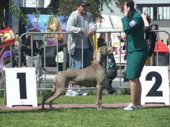 Shellie & Cricket BOB Melb Royal 2008
