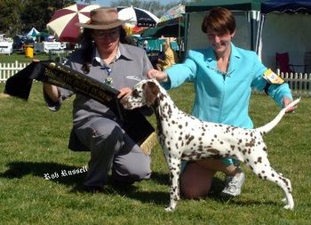 Shellie winning BIS with Annie
