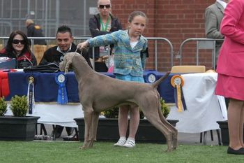 Emily 1st hndlers Melb Royal 2007
