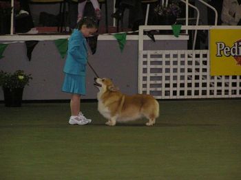 Handlers final with Corgie with her swap dog 2006
