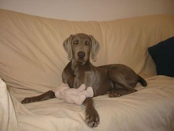 Mary with her teddy.
