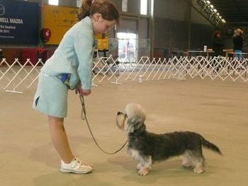 Emily and her best friend Norbert 2008
