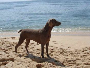 Mary checking out the beach in Spain
