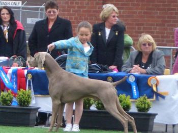 Emily handling Nigel in handlers at Melbourne Royal 2007
