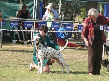 Shelie & Freddie BIG Canberra Royal 2008
