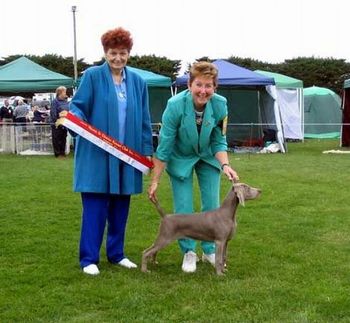 Mary winning Baby Puppy in Group before leaving for Portugal.
