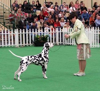 Shellie & Brandy Adelaide Royal
