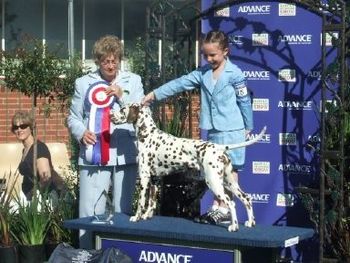 Emily 1st handlers Melb Royal 2008
