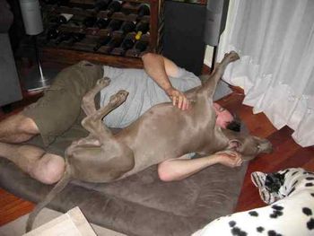 Steve & Randy after a hard day at the show.
