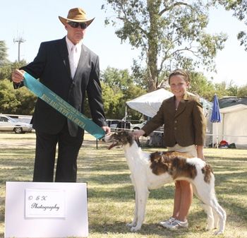 Emily winning Baby puppy in group at Benalla Jan 2010
